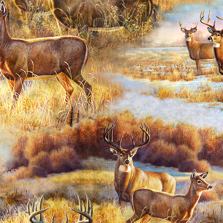 DEER MEADOW